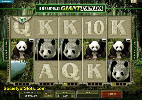 giantpanda