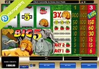 Big 5 Classic Slot
