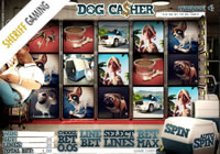 Dog Casher