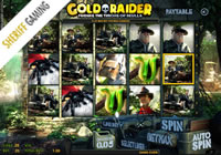 Gold Raider